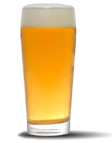 a pint glass filled with IPA